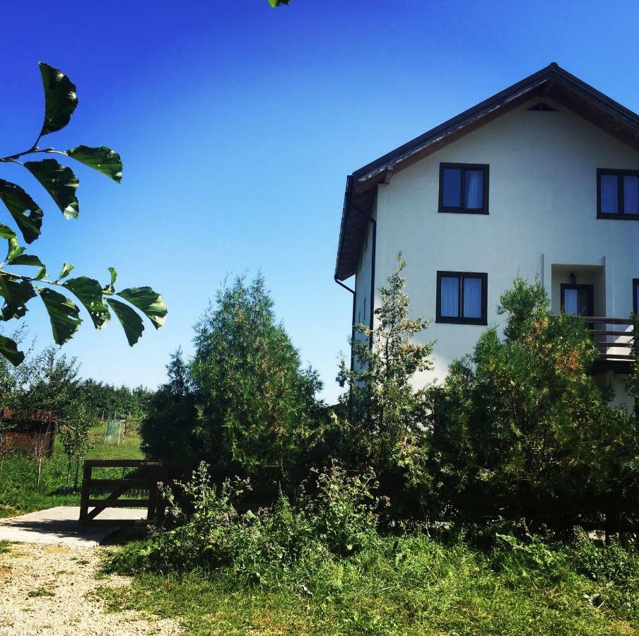 Bran White Clouds House And Chalet מראה חיצוני תמונה